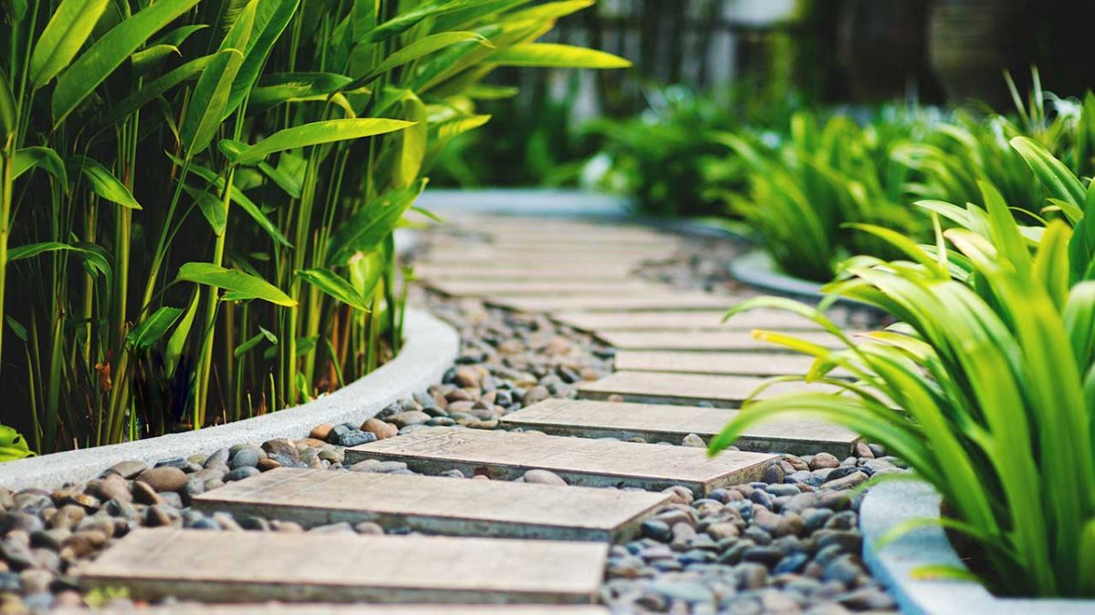 Diseña un camino de jardín con elementos sencillos y vistosos – The