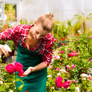 Insecticida, una protección de verano