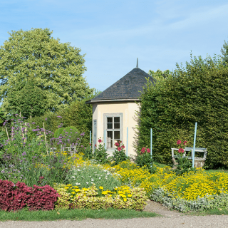 La enredadera, un adorno para tu depósito