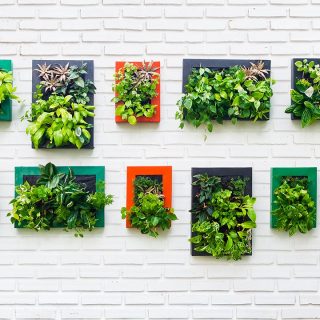 Jardín Vertical