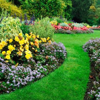 Conoce los 10 jardines más impresionantes del mundo