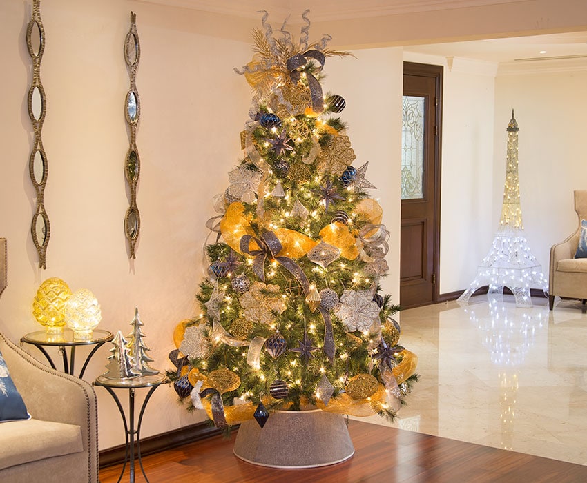 en lugar Decrépito Gracioso Variedad de pinos de Navidad – The Home Depot Blog