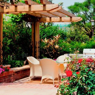 Estas son las 10 mejores plantas para tu jardín