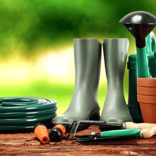 Cómo cuidar de tu jardín en los calores