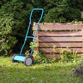 Las tareas en tu jardín este mes