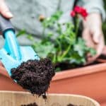 Tipos de fertilizantes