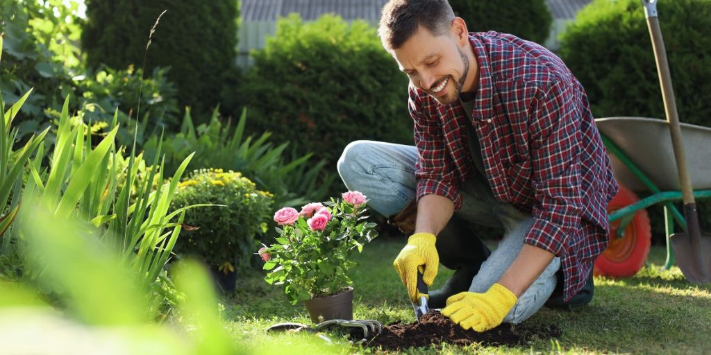 herramientas para huerta