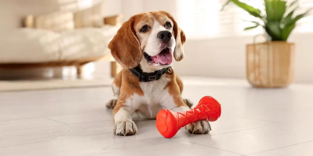 Tipos de pisos para mascotas