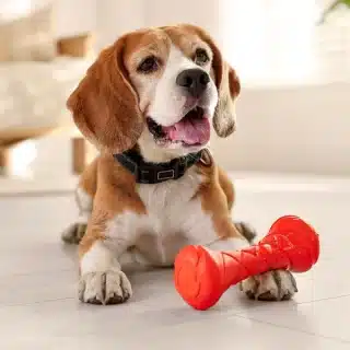 Tipos de pisos para mascotas