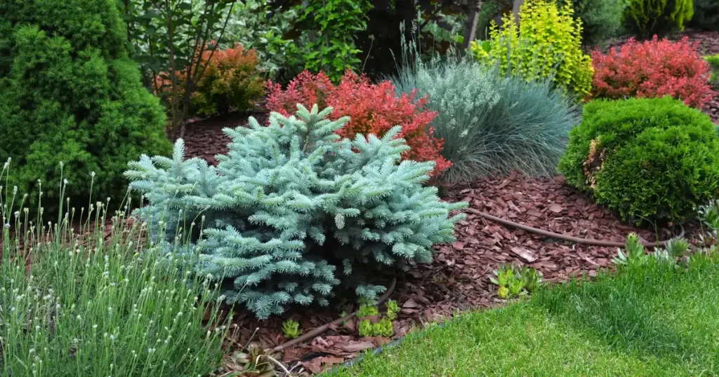Cómo cuidar un jardín