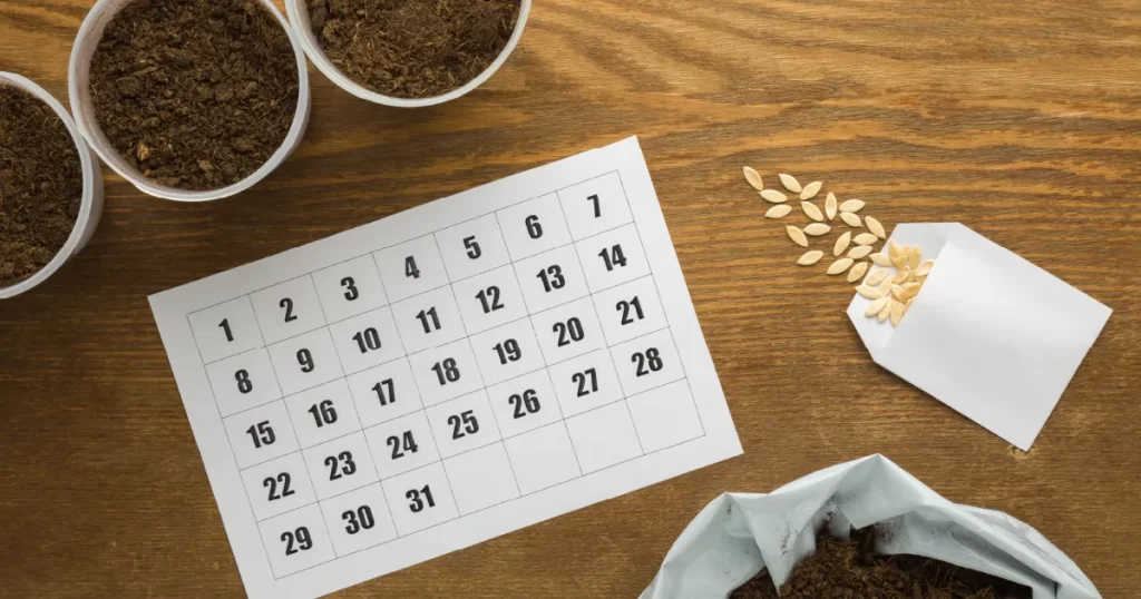 Calendario de abonos y fertilizantes
