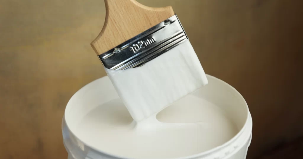 Pintura antihongos